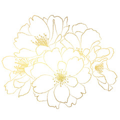 cherry blossoms golden line art 