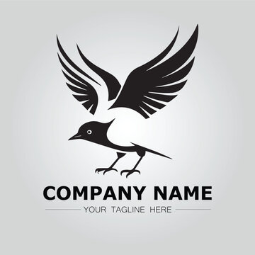 Bird logo company concept image vector