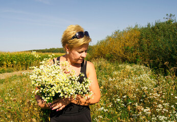 Naklejka na ściany i meble Blonde woman 50 years old collects wild flowers