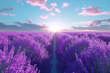 Zelfklevend Fotobehang Lavender field in region. © Nazia