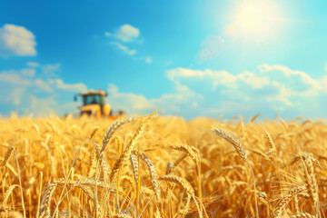 Wheat field and combine harvester. Harvesting concept. - 761268430