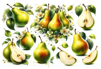 Watercolor of Pears