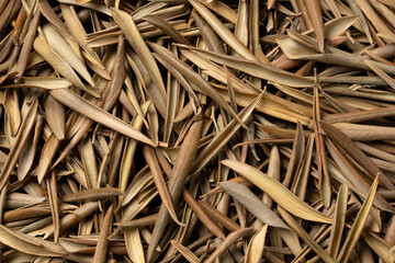 Dried olive leaves as an ingredient close up full frame as background