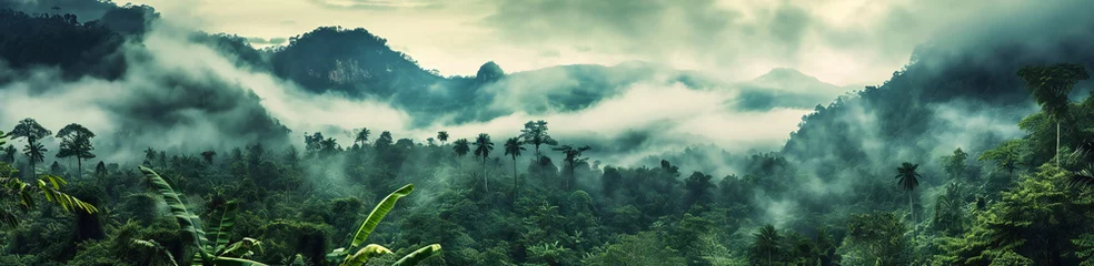 Foto op Plexiglas Tropical Rainforest Landscape Panorama © kilimanjaro 