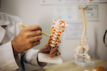 Male doctor explaining spinal anatomy with vertebral column model to patient in clinic