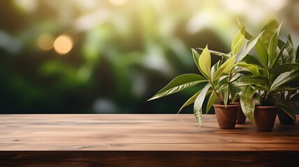 Fototapeta na wymiar wooden table with green plant on blurred background of trees