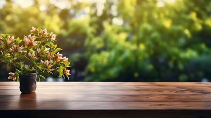 wooden table with green plant on blurred background of trees