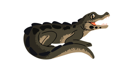 African dwarf crocodile. Cute baby alligator, cub of caiman. Small exotic river beast, little water reptile, amphibian animal. Swamp fauna. Flat isolated vector illustration on white background