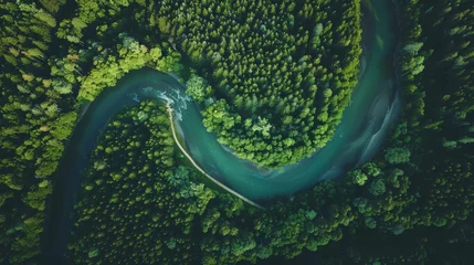 Fotobehang A breathtaking aerial view of a winding river snaking through a dense forest © basketman23