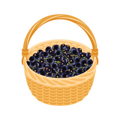 Basket with black currant. Berry fruit icon. Vector cartoon flat illustration.