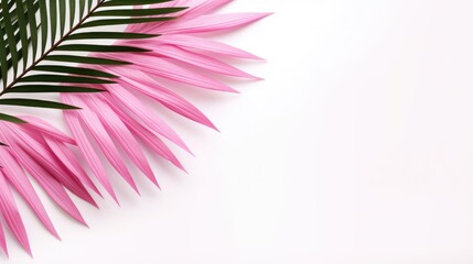 Obraz premium A palm tree with pink tropical leaves on a white background with a place to copy text. The concept of recreation, tourism and sea travel.