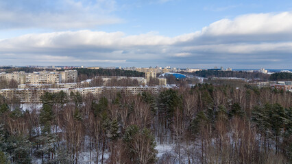 Fototapeta na wymiar Drone photography of a public park forest and city landscape on horizon during winter day