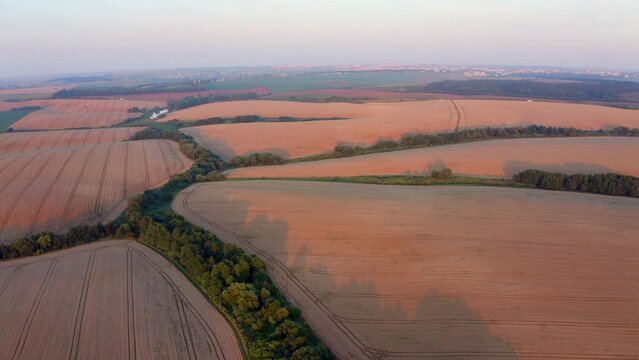 4k drone forward video (Ultra High Definition) of fields of wheat. Stunning morning view of countryside, Ternopil region, West Ukraine, Europe. Beauty of countryside concept background..
