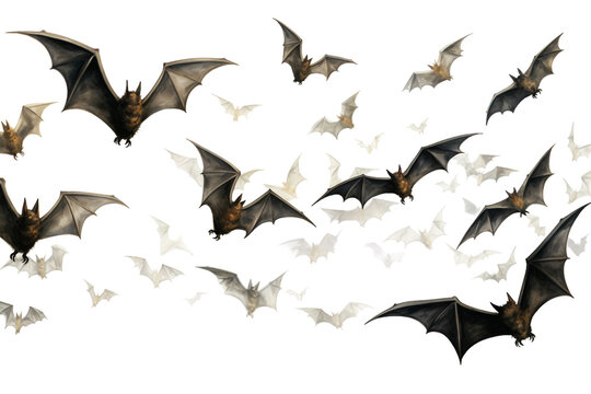 Bats Flying Mammals
