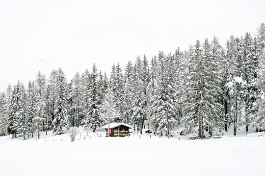 Samedan, Wanderweg, Winterlandschaft, Flaz, Fluss, Oberengadin, Langlauf, Langlaufloipe, Inn, Inntal, Bever, Alpen, Graub&uuml;nden, Winter, Schweiz