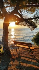 Fototapeta na wymiar A bench under the tree, sunset on sea horizon