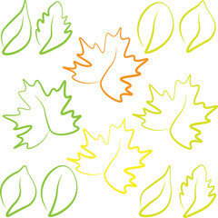 Autumn orange, green, yellow leaves, vector illustration of autumn maple leaves