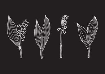 lilies of the valley. Minimal botanicalhand drawning design. Floral line art. - 761295445