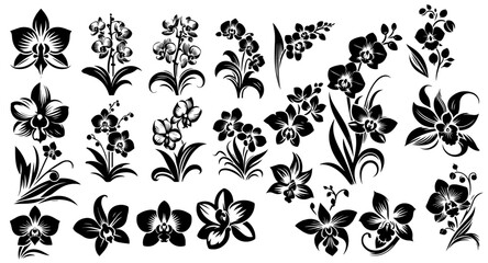 Stylised Single-Color Orchid Illustration Set