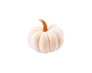 fresh white pumpkin isolated on transparent png