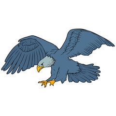 eagle vector illustration