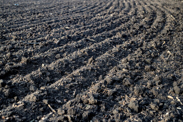 Plowed agricultural field, soil texture close-up. Rural scene.