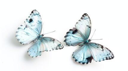 Light blue butterflies. Generative AI