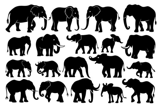Various type species elephant with different-poses, silhouette vector artwork