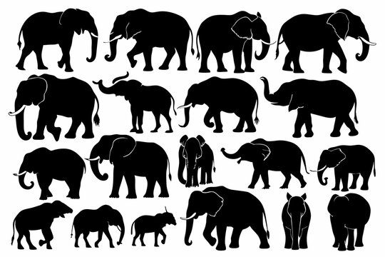 Various type species elephant with different-poses, silhouette vector artwork