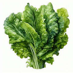 Watercolor Fresh Green Salad, clipart Illustration, Generative Ai