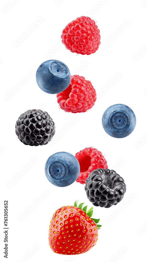 Canvas Prints Falling wild berries mix, strawberry, raspberry, blueberry, blackberry, isolated on white background, full depth of field