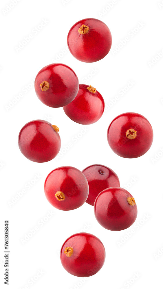 Wall mural falling cranberry isolated on white background, full depth of field - Wall murals