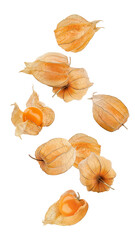 Falling Cape gooseberry, physalis isolated on white background, full depth of field