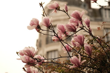 Jardin de Paris, France