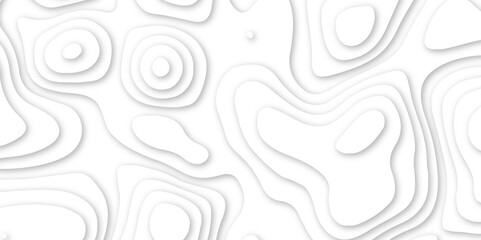 Abstract geometric layered curve line white background. 3d render, paper cut vector art background banner texture. multi layer cutout geometric patterns with smooth wavy layer. white background.   