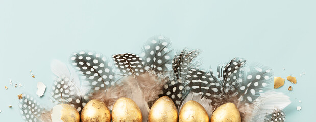 Raw of golden quail eggs and quail feathers on blue background
