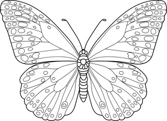 Butterfly Outline