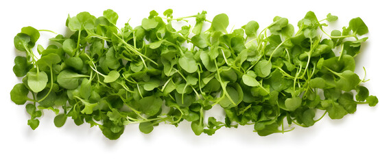 Naklejka premium Various green salad flying leaves on white background top view