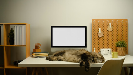 Front view of blank computer monitor with cute cat sleeping on a white table in home office