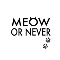 Meow or never text. T shirt or design element