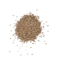 Heap of dry fennel seeds on white, top view, directly above