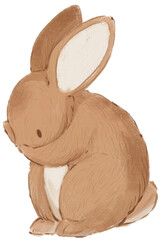 Bunny Illustration