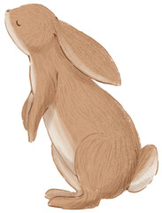 Bunny Illustration - 761315234