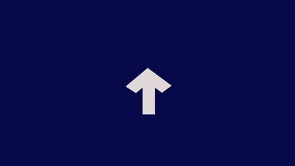 Around Direction arrow icon illustration