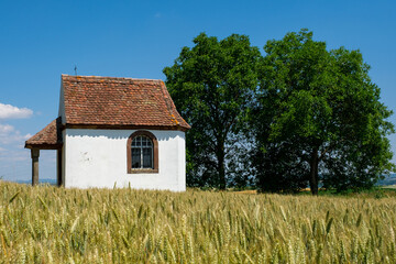 Chapelle dans un paysage rural, entre champ de blé et forêt