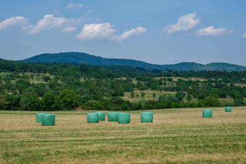 Paysage rural avec des ballots de paille emballés dans du plastique vert