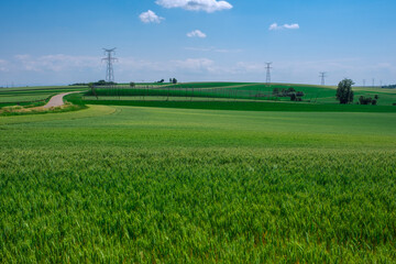 Paysage rural ; champs vert avec une route et une ligne élzctrique en arrière-plan