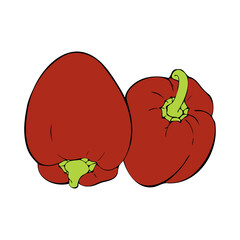 Two fresh red bell Peppers hand drawn contour isolated on white background.