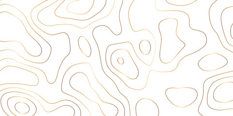 Abstract golden topography vector background. Topographic map. Geographic mountain relief. counter map golden wavy line paper textrue. grid curve line abstract vector illustration .