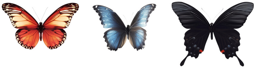 This collection presents butterflies with a soft shadow effect, showcasing the light and dark hues